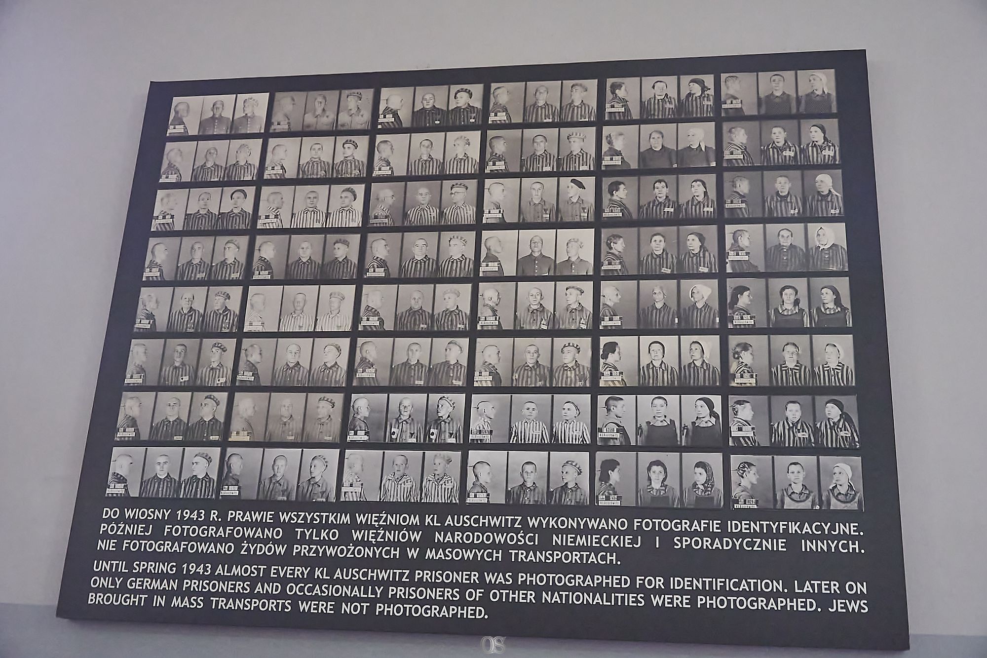 Auschwitz 45.jpg